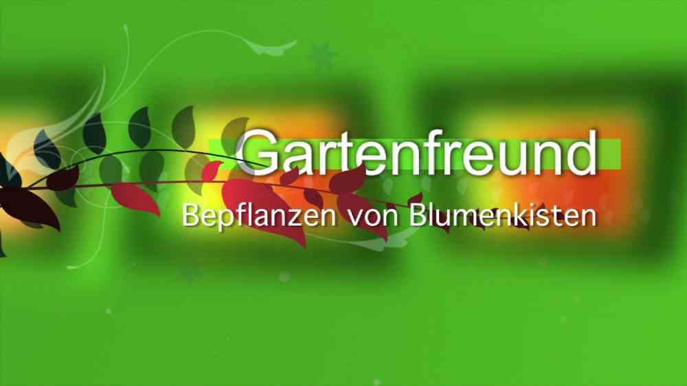 Read more about the article Bepflanzen von Blumenkisten