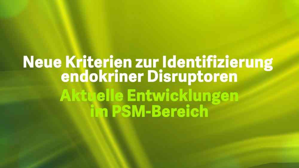 Read more about the article Neue Kriterien zur Identifizierung endokriner Disruptoren