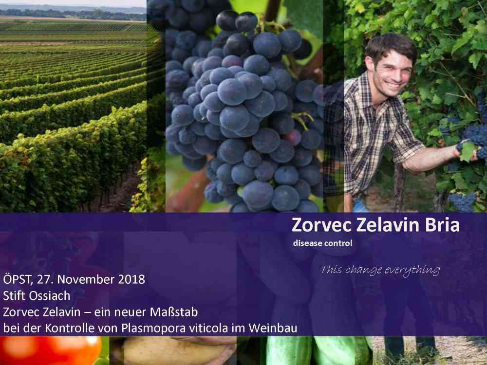 Read more about the article Zorvec Zelavin Bria