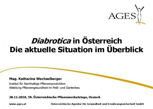 Diabrotica in Österreich