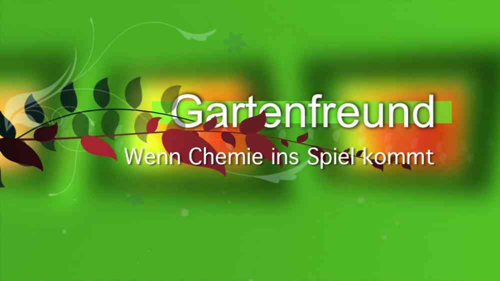 Read more about the article Wenn Chemie ins Spiel kommt