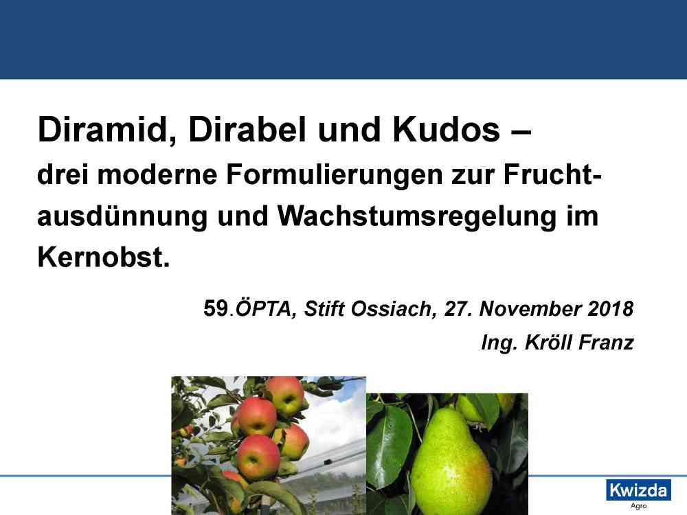 Read more about the article Diramid, Dirabel und Kudos