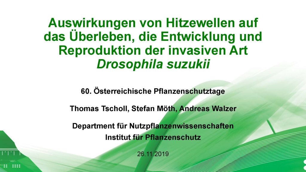 Auswirkungen von Hitzewellen auf das Überleben, die Entwicklung und Reproduktion der invasiven Art Drosophila suzukii_Seite_01