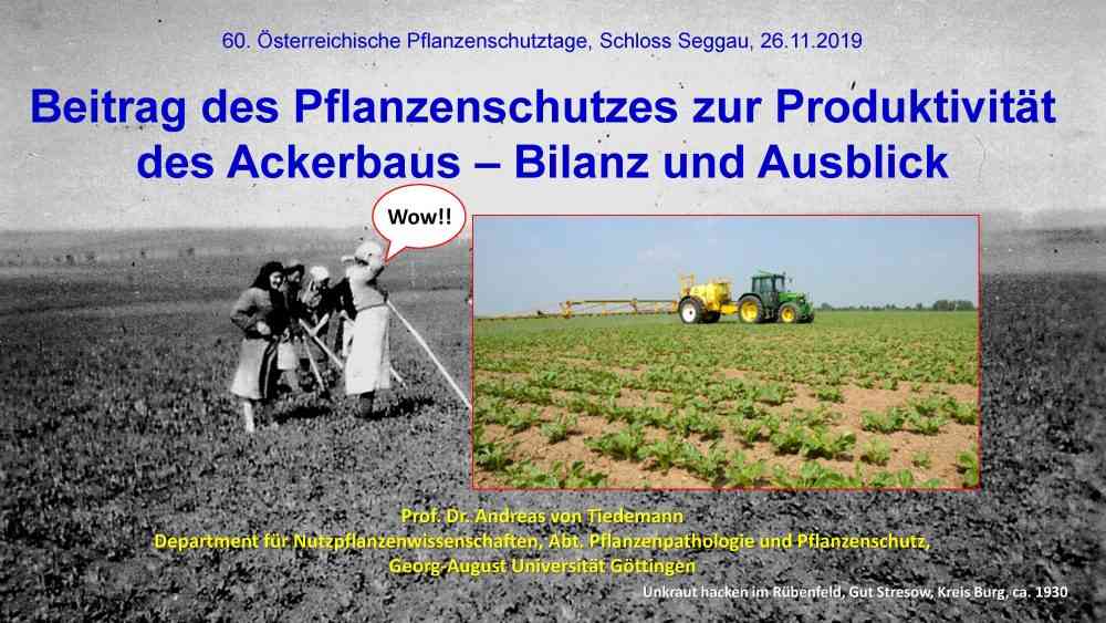 Read more about the article Beitrag des Pflanzenschutzes zur Produktivität des Ackerbaus –Bilanz und Ausblick