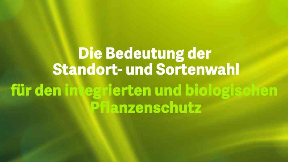 Read more about the article Die Bedeutung der Standort- und Sortenwahl für den Pflanzenschutz