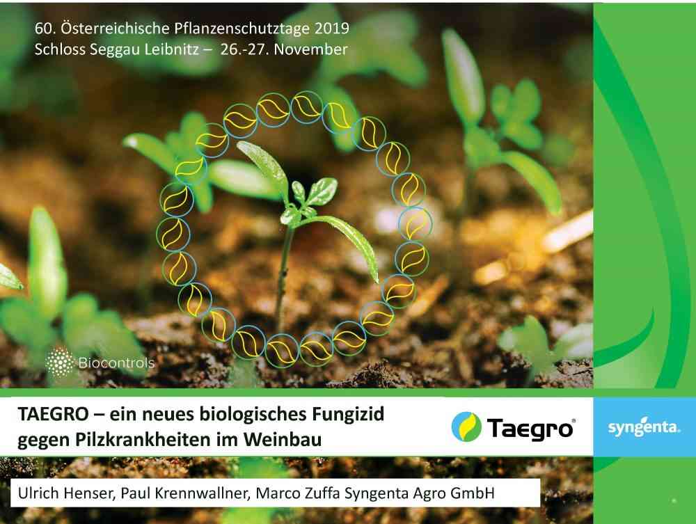 Read more about the article TAEGRO –ein neues biologisches Fungizid gegen Pilzkrankheiten im Weinbau
