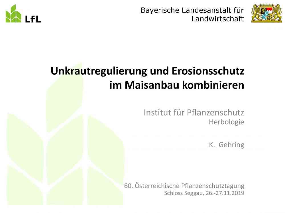 Read more about the article Unkrautregulierung und Erosionsschutzim Maisanbau kombinieren