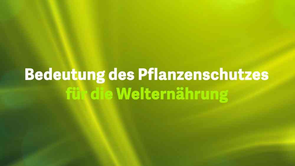 Read more about the article Die Bedeutung des Pflanzenschutzes  für die Welternährung