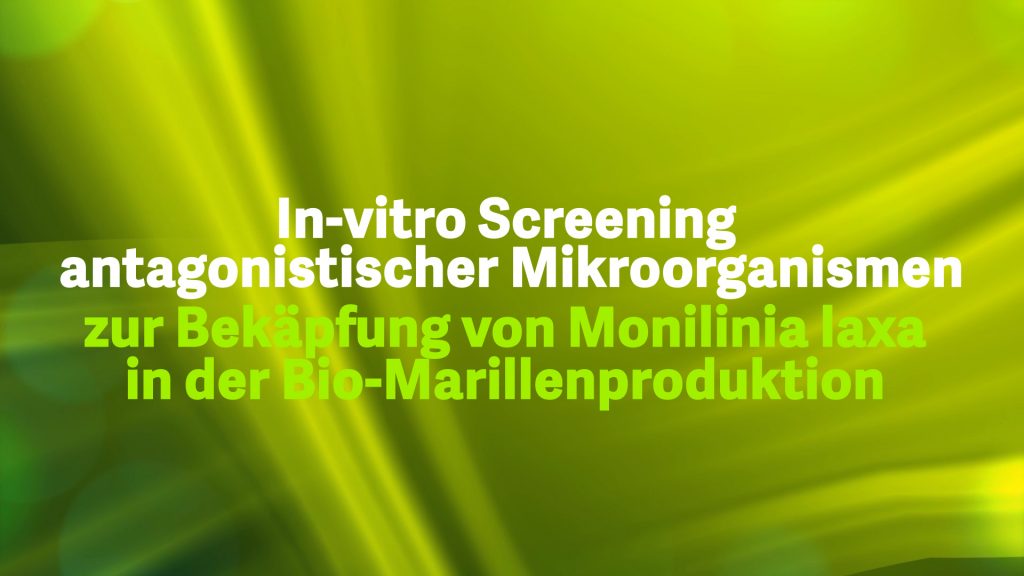 1-3 In vitro screening of antagonistic microorganisms