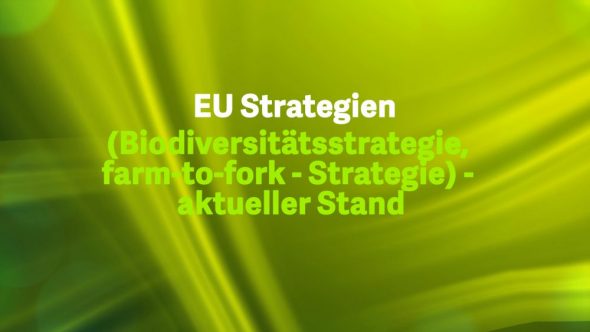 EU Strategien – aktueller Stand