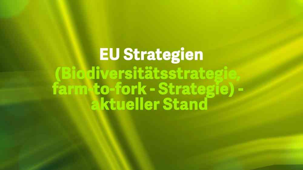 Read more about the article EU Strategien – aktueller Stand