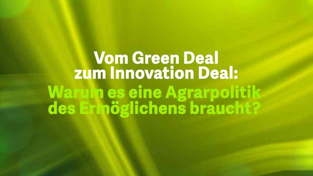 Read more about the article Vom Green Deal zum Innovation Deal