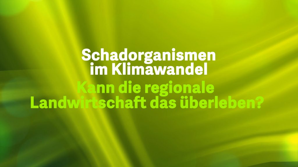 6 Schadorganissmen im Klimawandel – Österreich