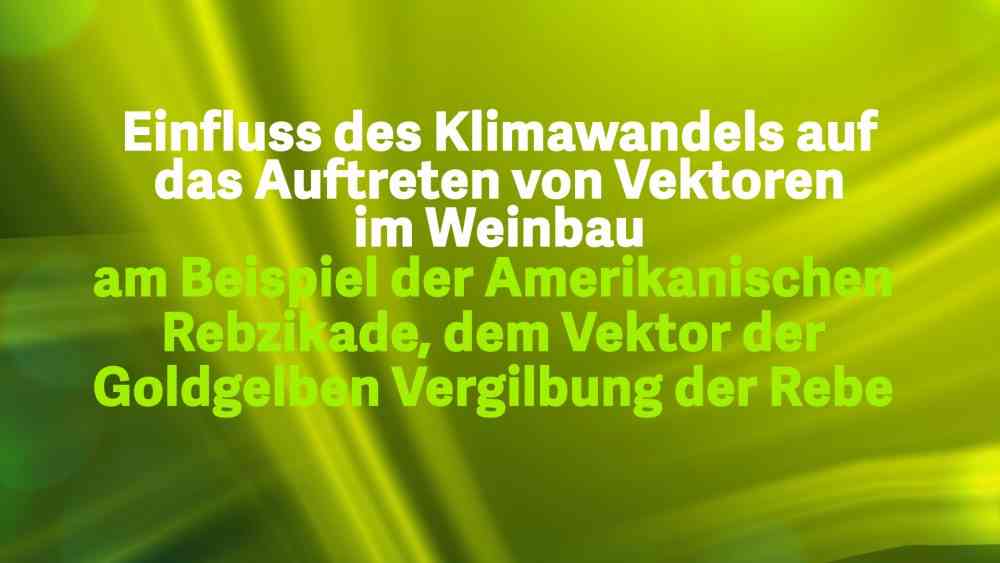 Read more about the article Einfluss des Klimawandels im Weinbau