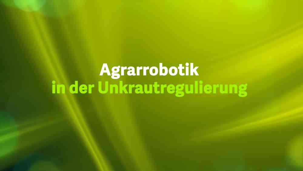Read more about the article Agrarrobotik in der Unkrautregulierung