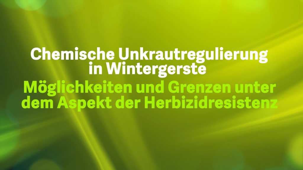 Chemische Unkrautregulierung in Wintergerste – Möglich-