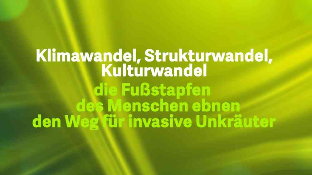 Read more about the article Die Fußstapfen des Menschen ebnen den Weg für invasive Unkräuter