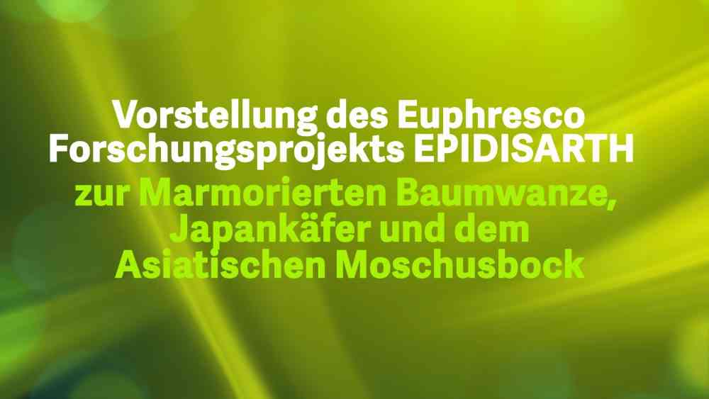 Read more about the article Vorstellung des Euphresco Forschungsprojekts EPIDISARTH