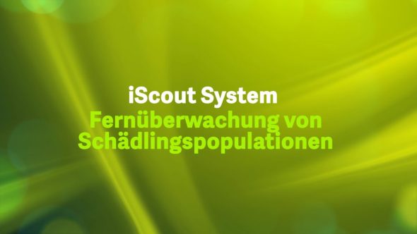 iScout System – Fernüberwachung von Schädlingspopulationen