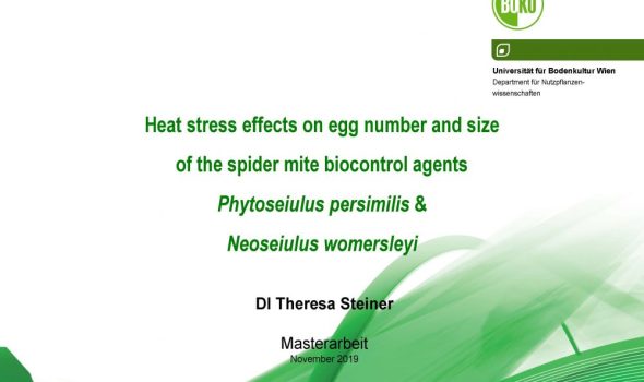 Heat stress effects on egg number and size_Seite_01