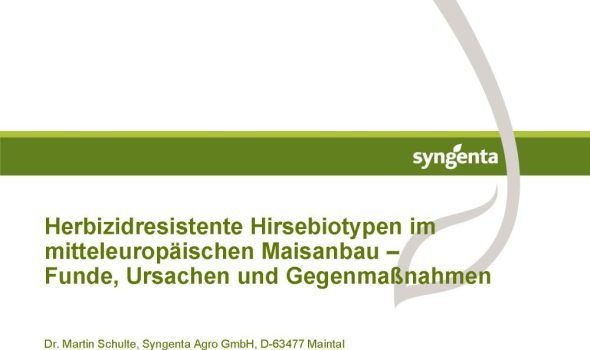 Schulte Krennwallner - Herbizidresistente Hirsen in Mais_Seite_01