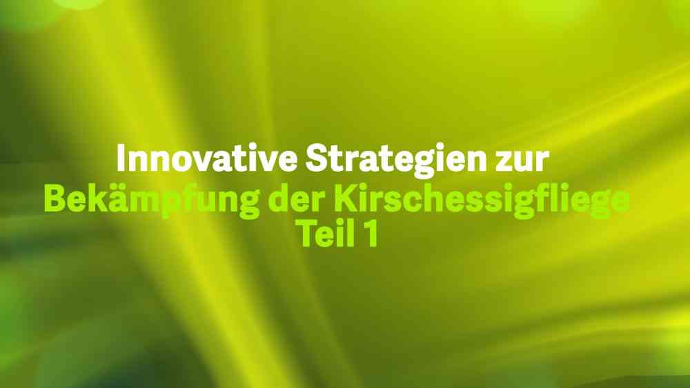 Innovative Strategien zur Bekämpfung der Kirschessigfliege – Teil 1