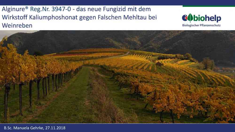 Mehr über den Artikel erfahren Alginure