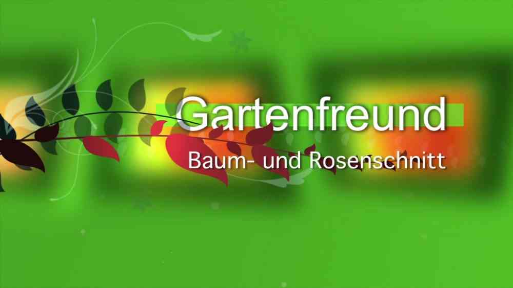 Read more about the article Baum- und Rosenschnitt