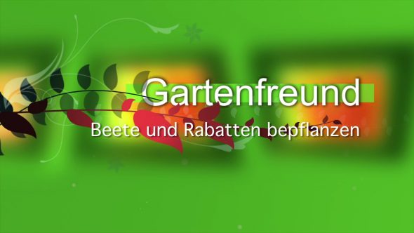 Beete und Rabatte bepflanzen