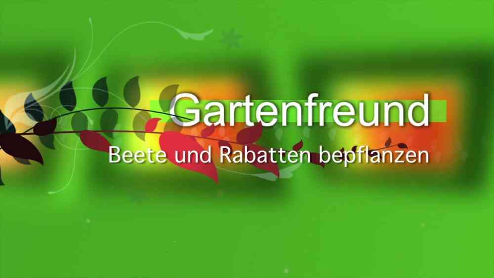 Read more about the article Beete und Rabatte bepflanzen