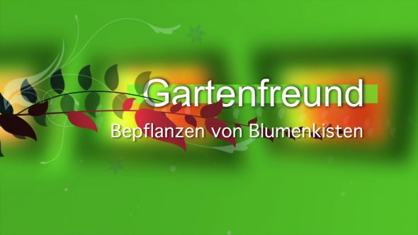 Welche Blumenkisten für Ihre Balkonpflanzen?