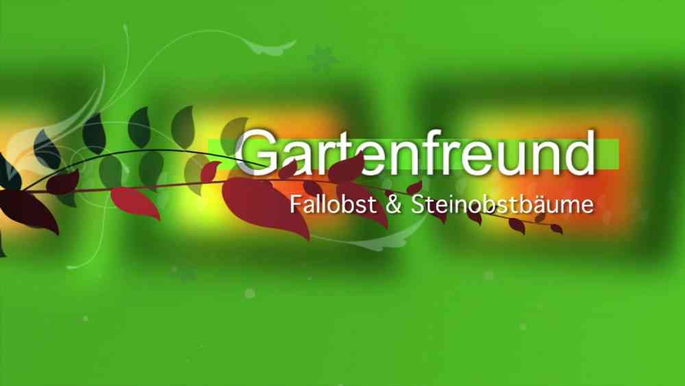 Fallobst und Steinobstbäume