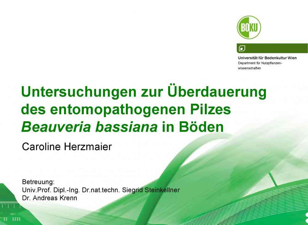 Read more about the article Untersuchungen zur Überdauerung des Pilzes Beauveria bassiana