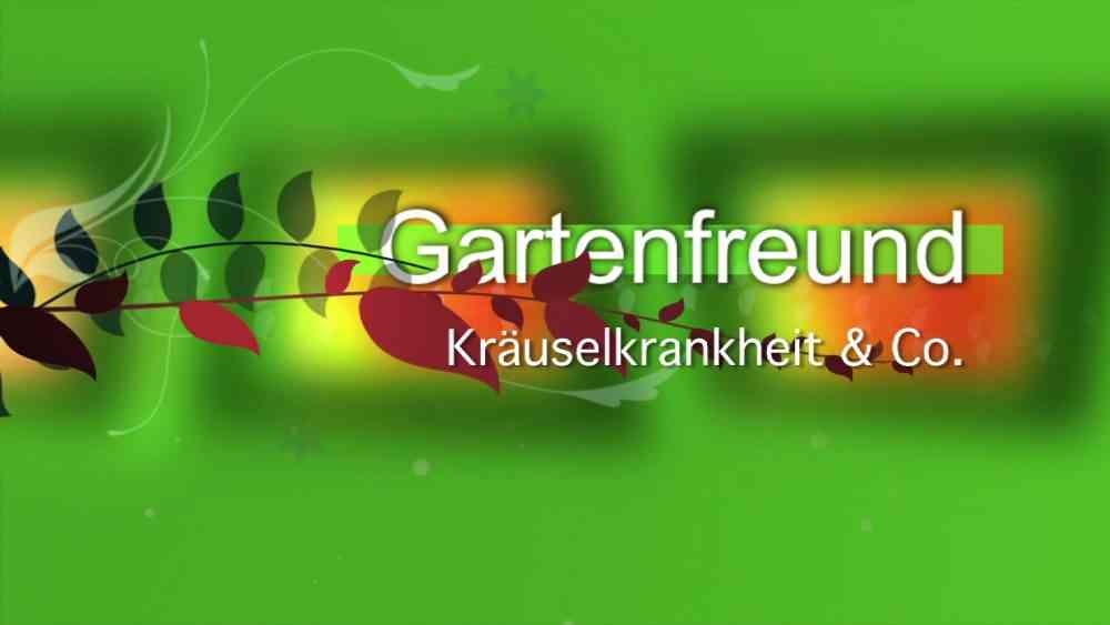 Kräuselkrankheit und Co.