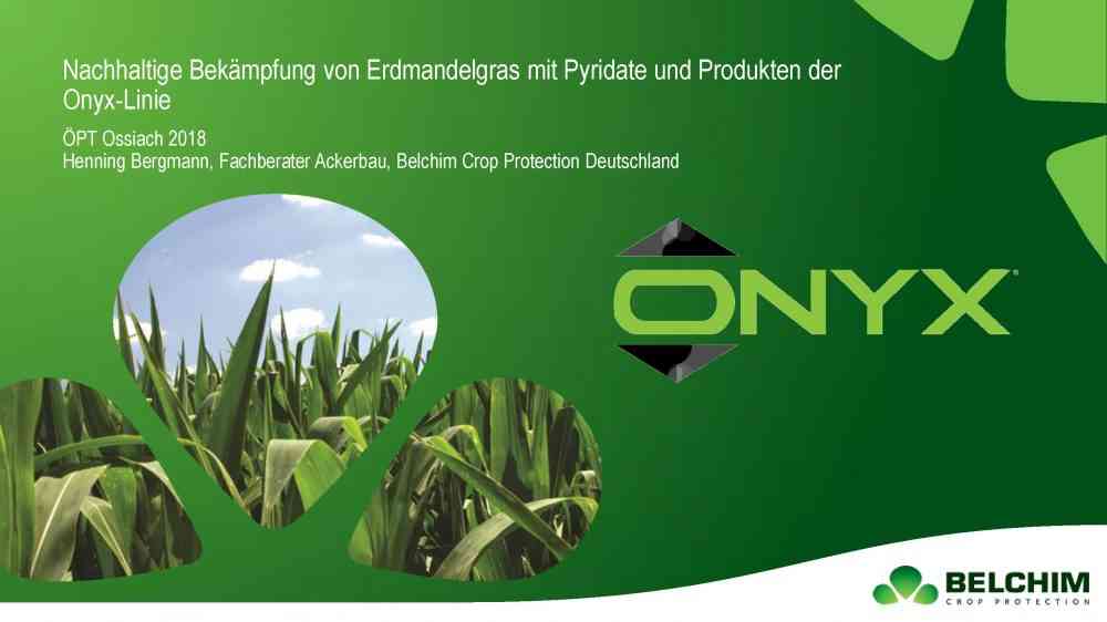Onyx gegen Cyperus Bergmann ÖPT 2018_Seite_01