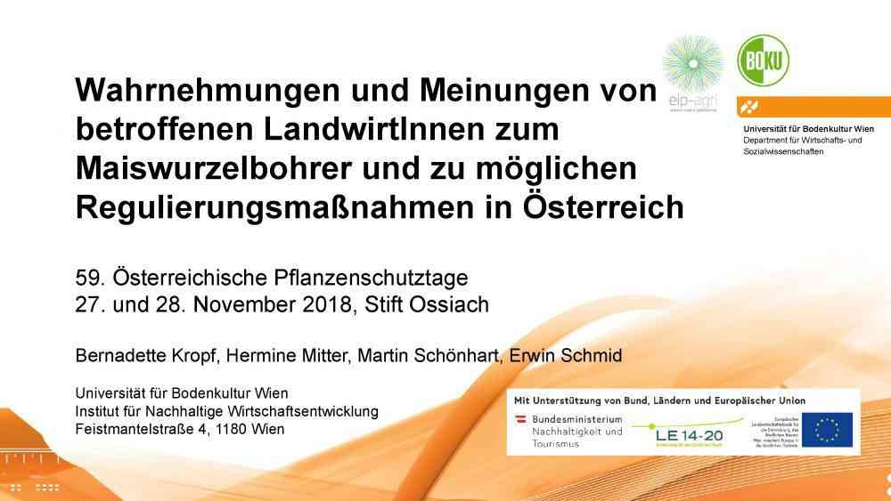 Mehr über den Artikel erfahren Meinung von betroffenen Landwirten zum Maiswurzelbohrer