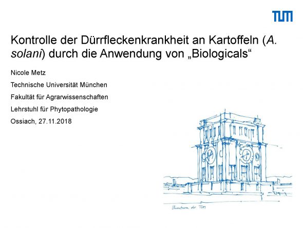 Kontrolle der Dürrfleckenkrankheit an Kartoffeln