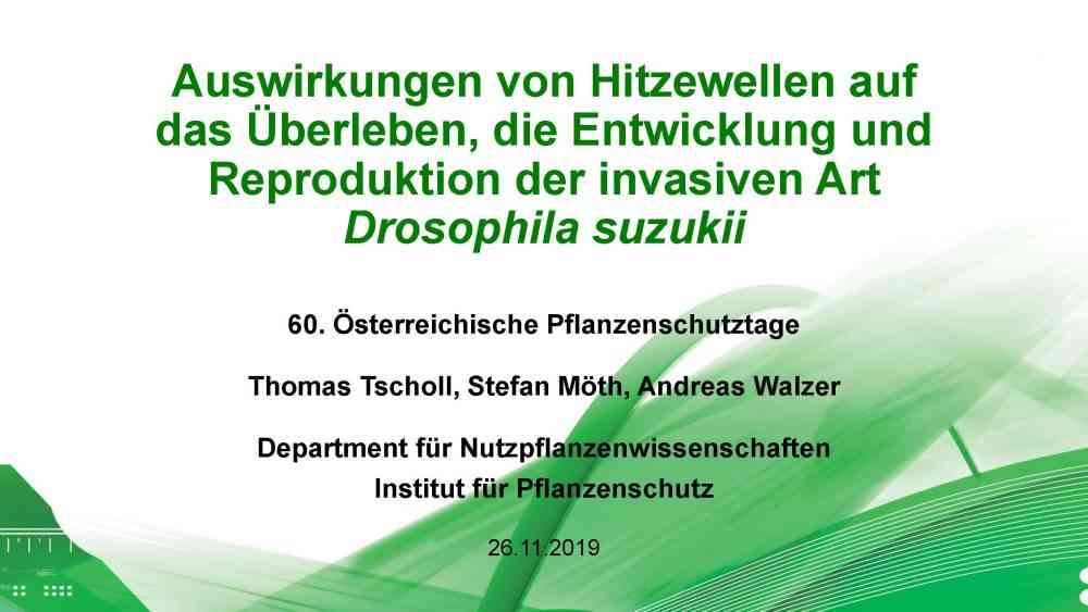 Read more about the article Auswirkungen von Hitzewellen auf das Überleben, die Entwicklung und Reproduktion der invasiven Art Drosophila suzukii