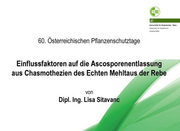 Einflussfaktoren auf die Ascosporenentlassung aus Chasmothezien des Echten Mehltaus der Rebe