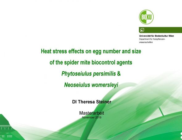 Heat stress effects on egg number and size of the spider mite biocontrol agents Phytoseiulus persimilis & Neoseiulus womersleyi