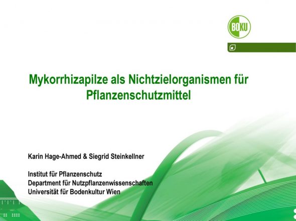 Mykorrhizapilze als Nichtzielorganismen für Pflanzenschutzmittel