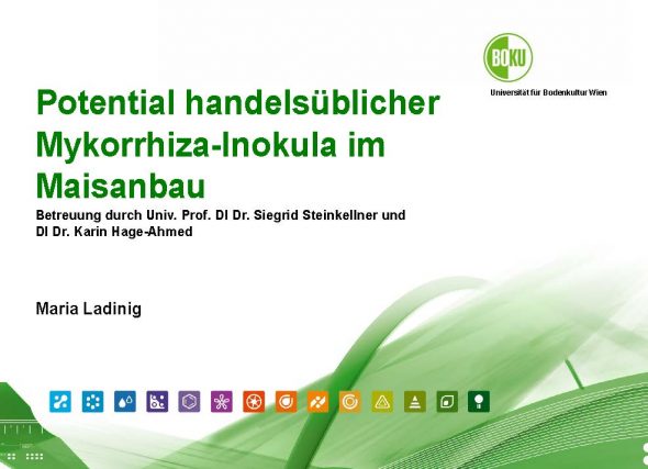 Potential handelsüblicher Mykorrhiza-Inokula im Maisanbau