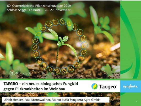 TAEGRO –ein neues biologisches Fungizid gegen Pilzkrankheiten im Weinbau