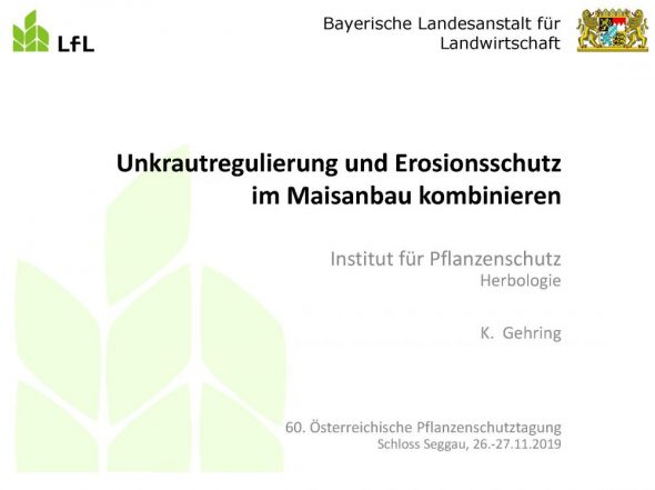 Unkrautregulierung und Erosionsschutzim Maisanbau kombinieren