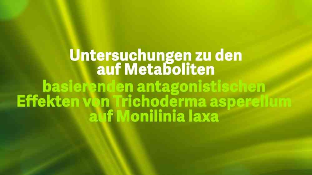 Read more about the article Untersuchungen zu den auf Metaboliten basierenden Effekten