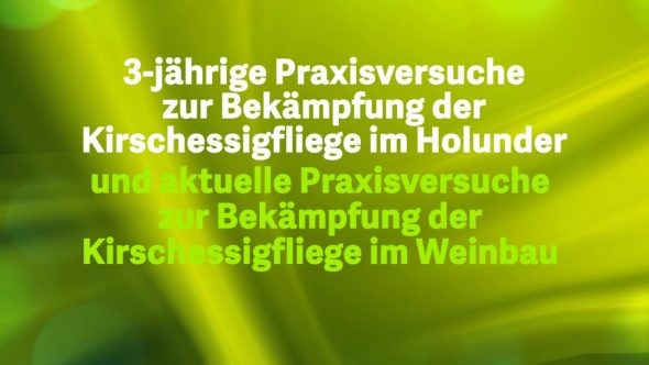 3-jährige Praxisversuche zur Bekämpfung der Kirschessigfliege