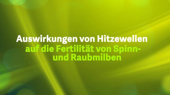 Auswirkungen von Hitzewellen auf die Fertilität von Spinn-und Raubmilben