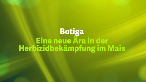 Botiga