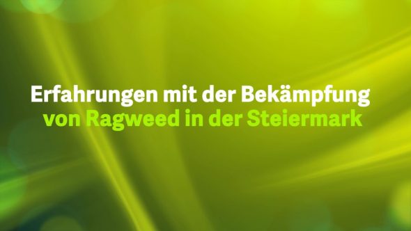 Erfahrungen mit der Bekämpfung von Ragweed in der Steiermark