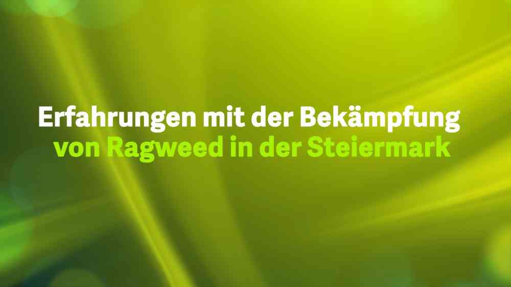 Read more about the article Erfahrungen mit der Bekämpfung von Ragweed in der Steiermark